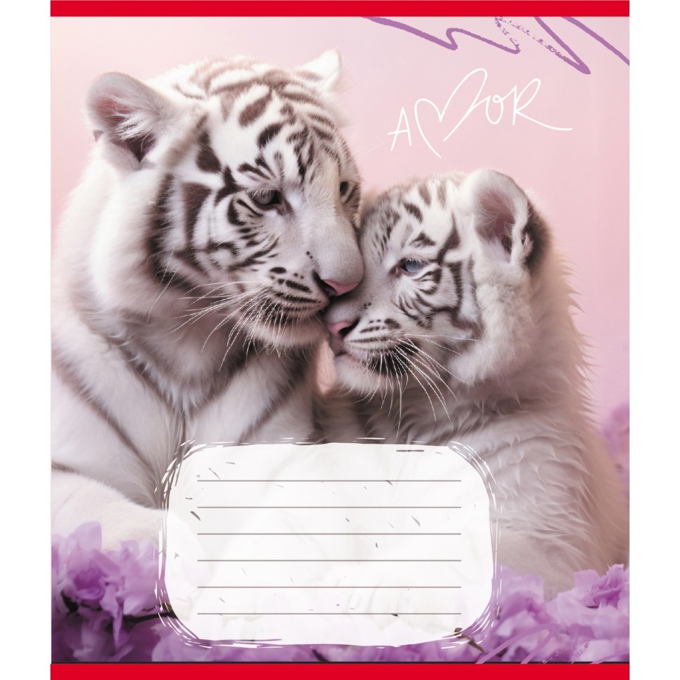 Зошит учнівський 