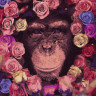 Картина за номерами. Rainbow Art "Шимпанзе" GX36041-RA 