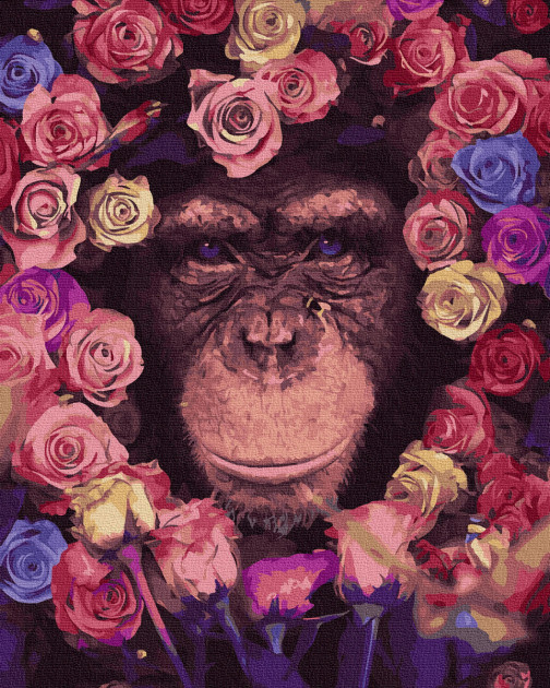 Картина за номерами. Rainbow Art "Шимпанзе" GX36041-RA по цене 240 грн.