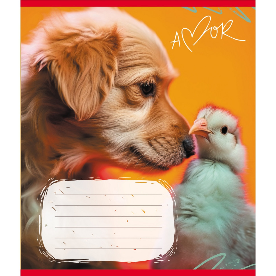 Зошит учнівський 