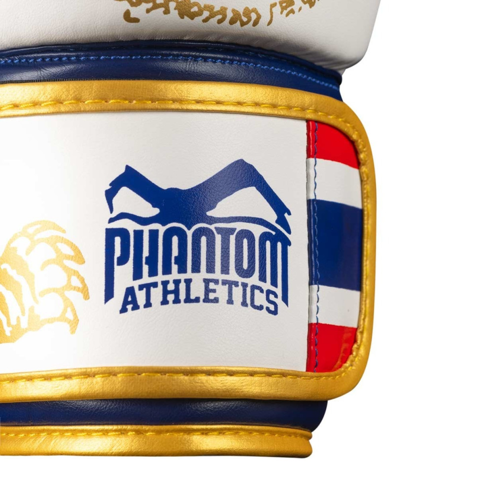 Боксерські рукавиці Muay Thai Phantom PHBG2590-12 Gold 12 унцій (бинти в подарунок)