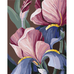 Картина по номерам "Петушки" © Yana Biluhina Brushme BS53760, 40x50 см