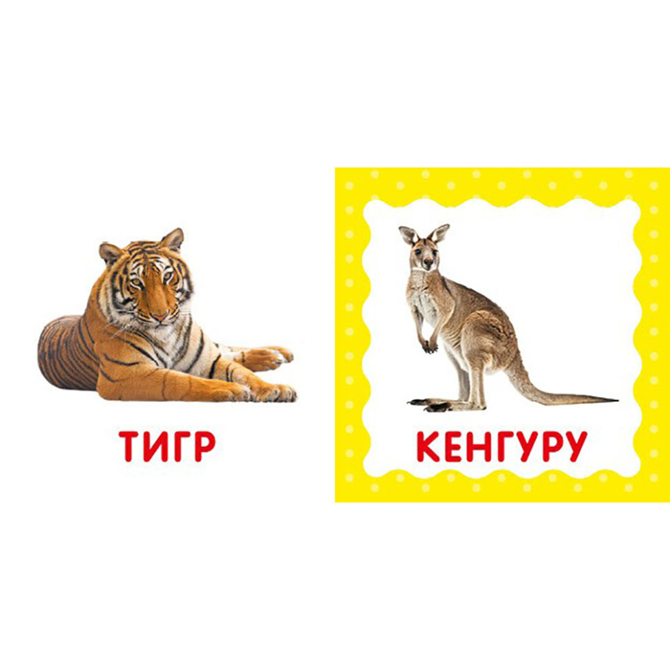 Перша книжка малюка 