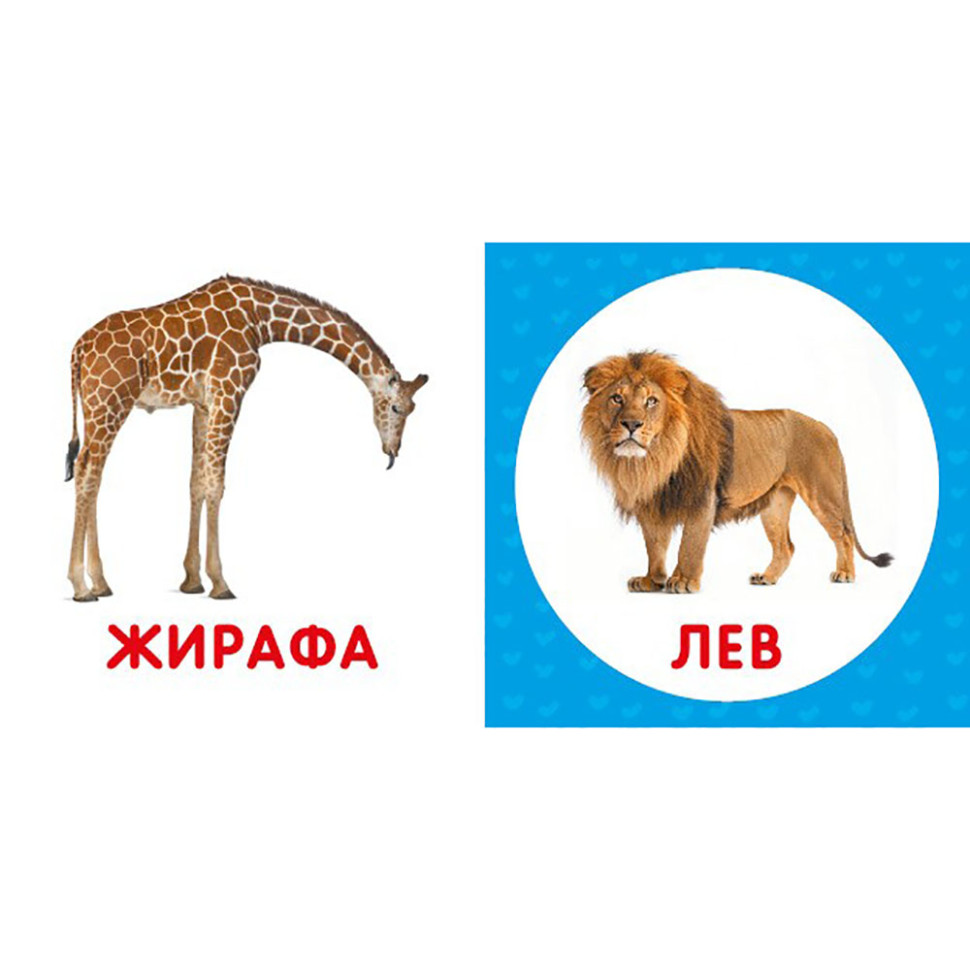 Перша книжка малюка 