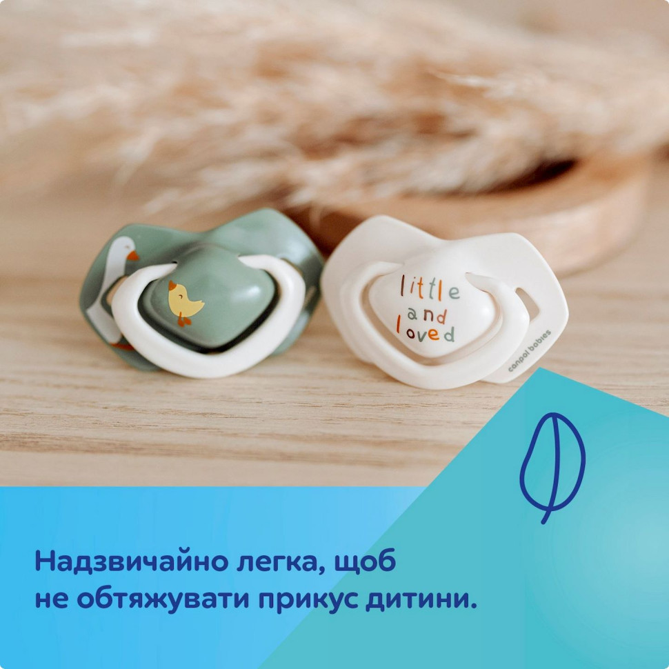 Пустышка силиконовая симметричная Гуси Canpol babies 22/667, 2 шт, 0-6 месяцев