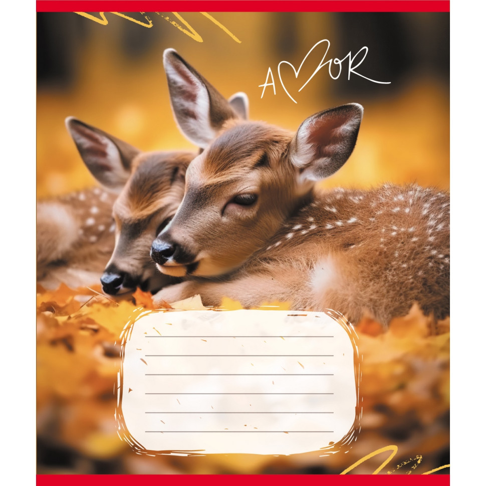 Зошит учнівський 