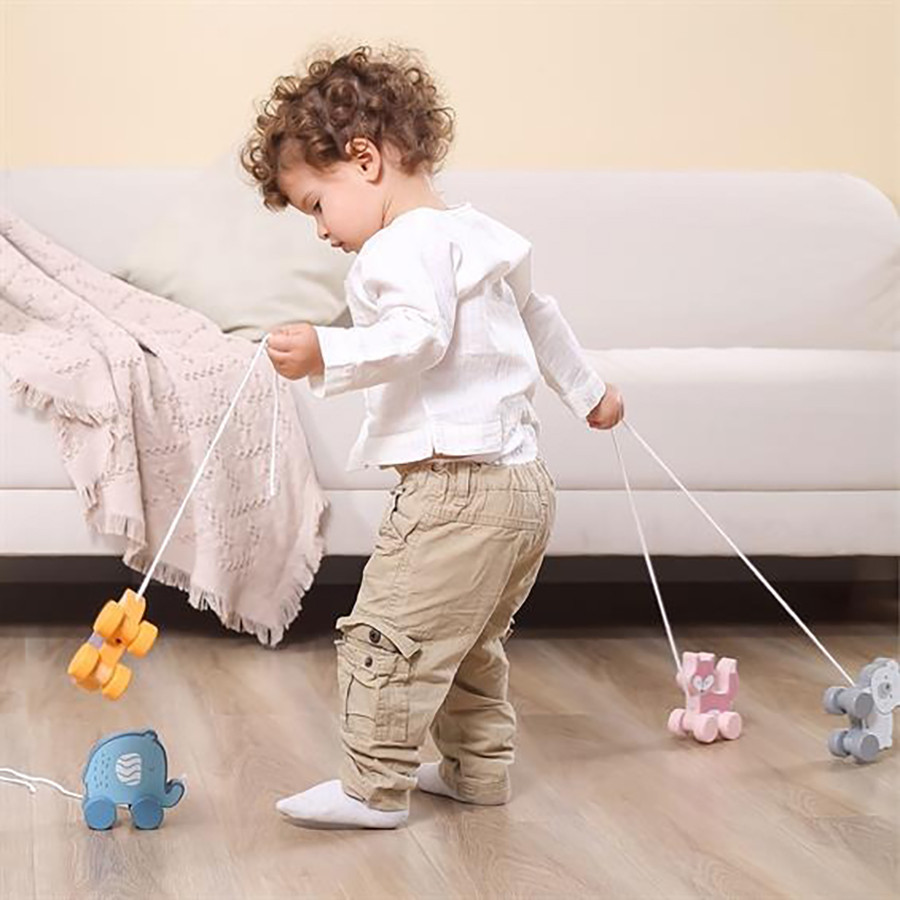 Деревянная каталка Viga Toys PolarB 44003VT Ёжик