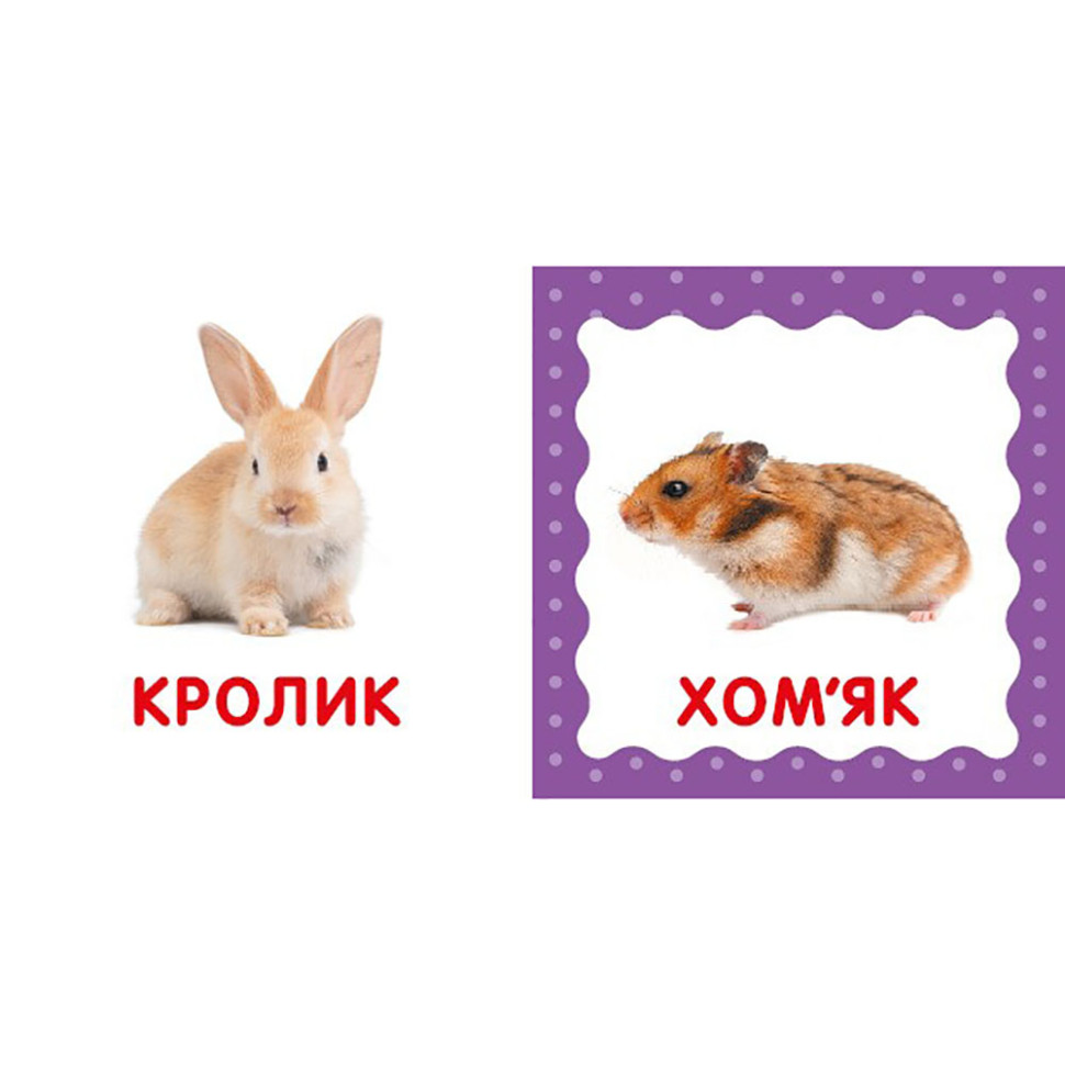 Перша книжка малюка 