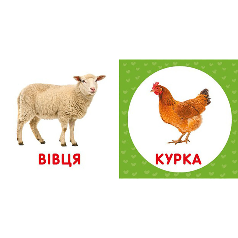Перша книжка малюка 