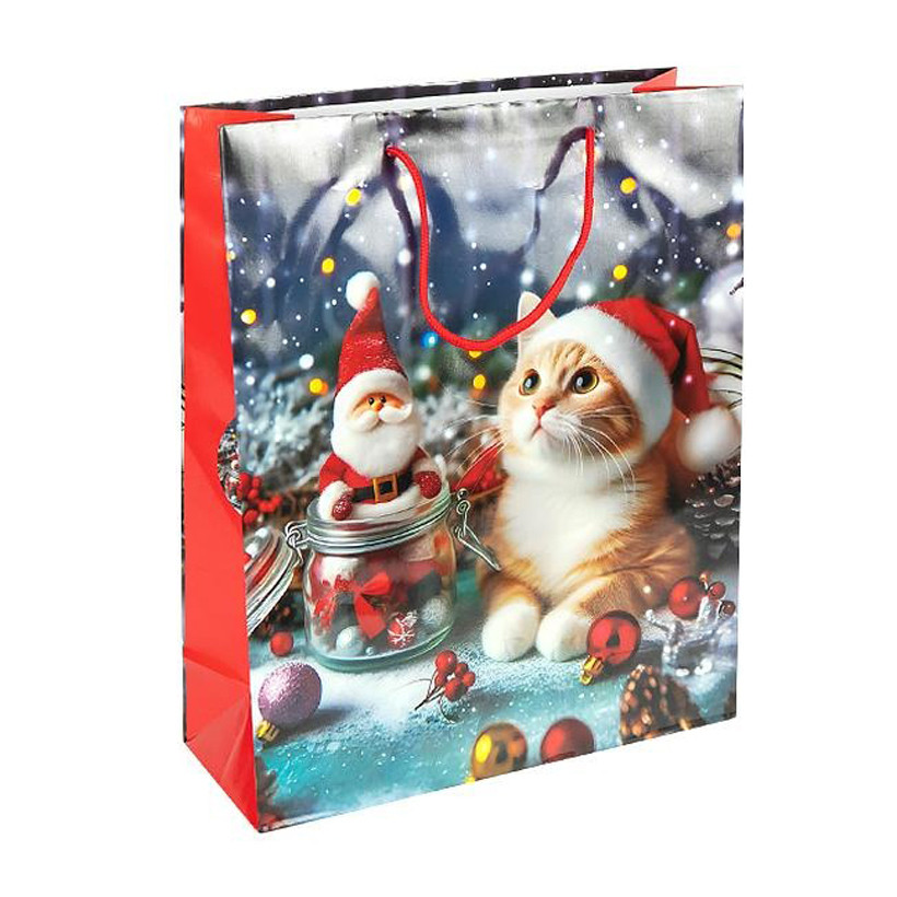 Пакет подарунковий