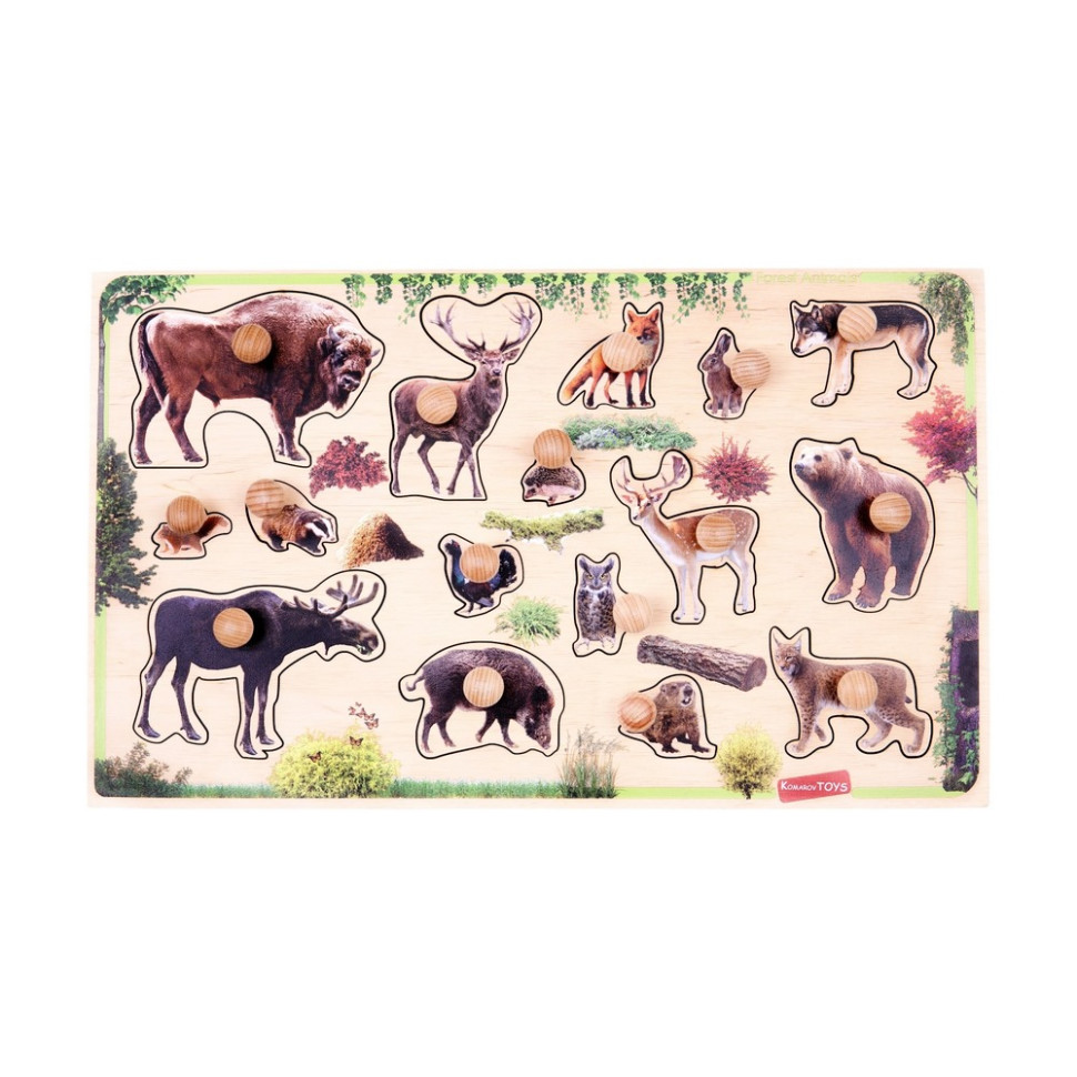 Дитячий дерев'яний сортер 