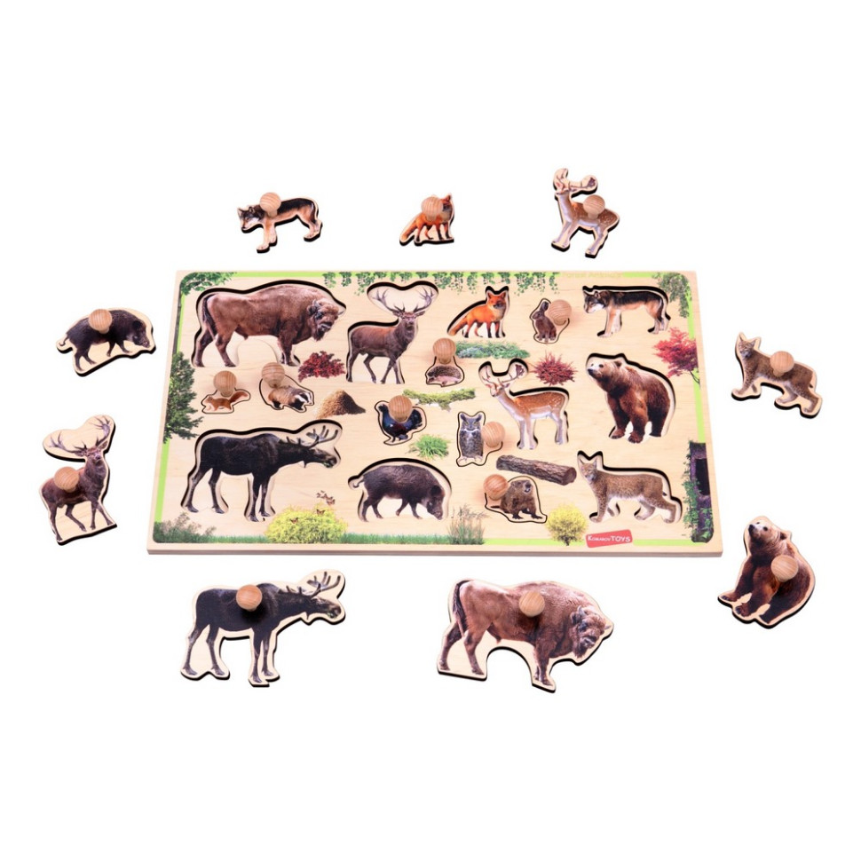 Дитячий дерев'яний сортер 