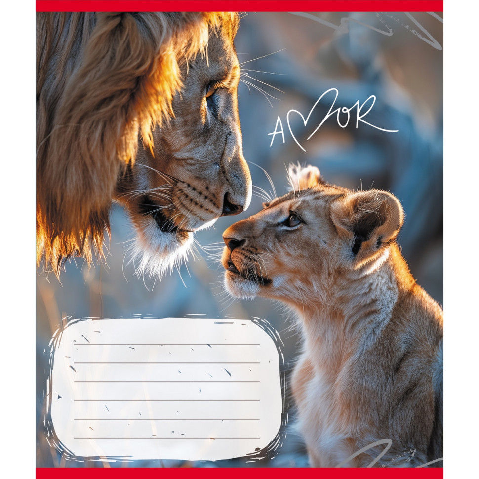 Зошит учнівський 