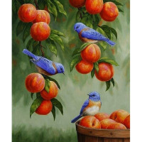Картина по номерам Идейка Животные "Дрозди и персики" 30х40 см KHO2429