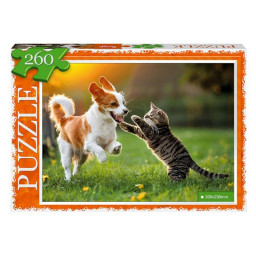Пазл класичний "Друзі" Danko Toys С260-14-07, 260 елементів