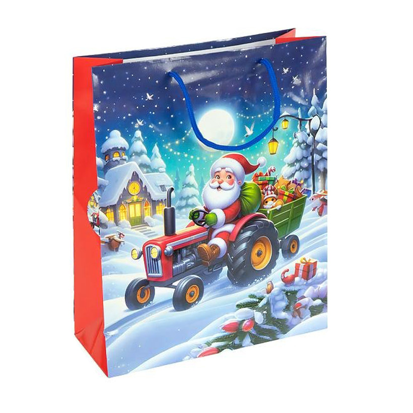 Пакет подарочный 