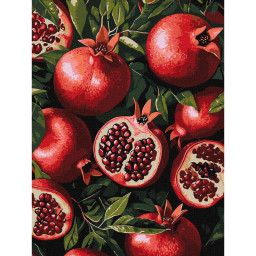 Картина по номерам "Гранат в разрезе" ©art_selena_ua Идейка KHO5731, 30х40 см Картина по номерам "Гранат в разрезе" ©art_selena_ua Идейка KHO5731, 30х40 см