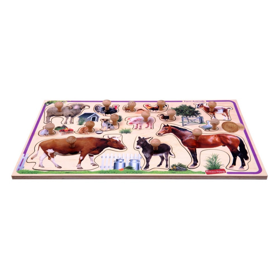 Дитячий дерев'яний сортер 