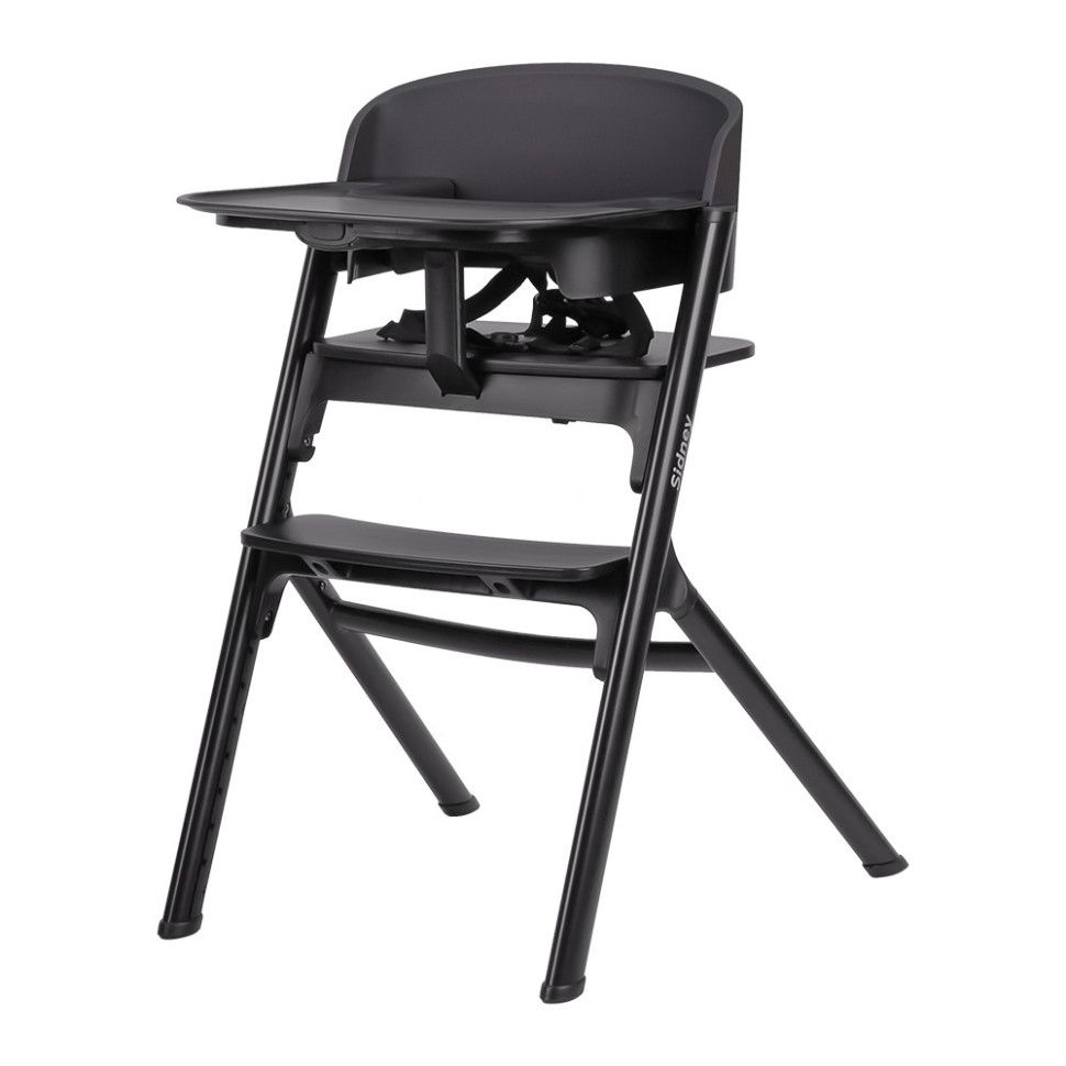 Стілець для годування Sidney CARRELLO CRL-8405 Space Black