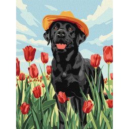 Картина по номерам "Волшебный лабрадор" Идейка KHO6621, 30х40 см Картина по номерам "Волшебный лабрадор" Идейка KHO6621, 30х40 см