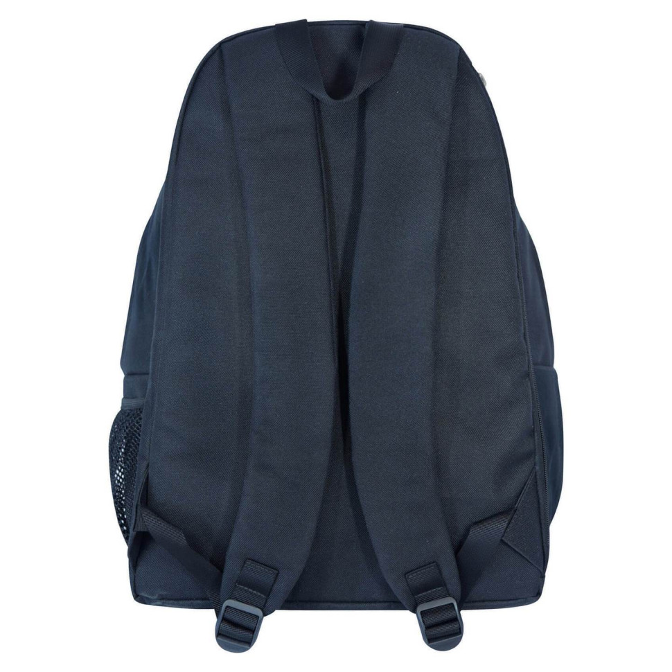 Рюкзак городской Stylish Bagland 1052918324 объем 24 л 