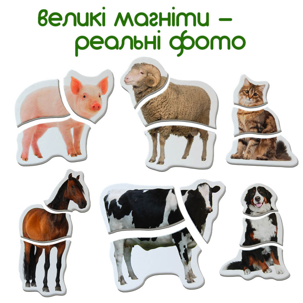 Магнитные пазлы 