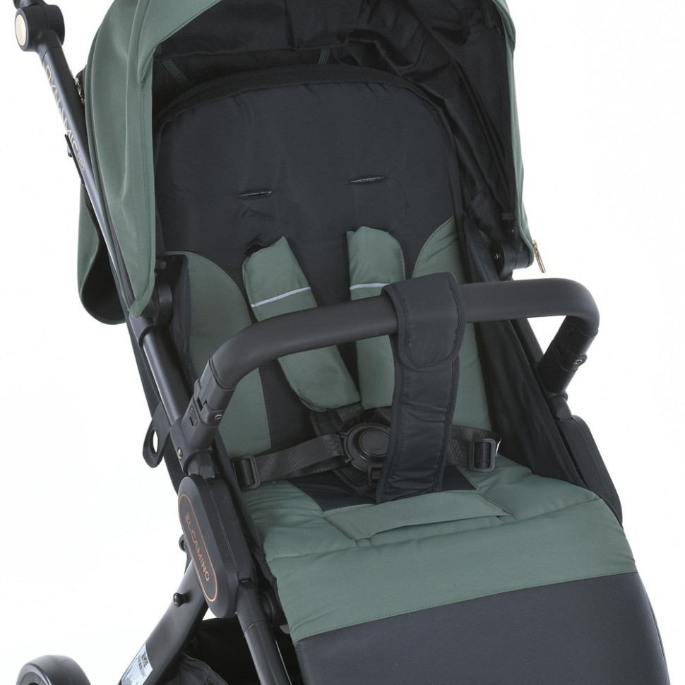 Коляска дитяча прогулянкова DYNAMIC PRO El Camino ME 1053-3 Forest Green