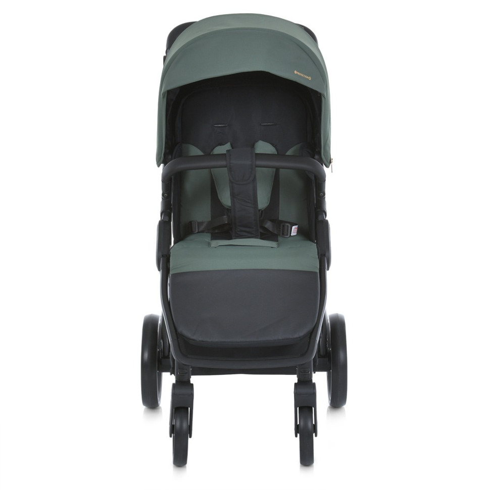 Коляска дитяча прогулянкова DYNAMIC PRO El Camino ME 1053-3 Forest Green