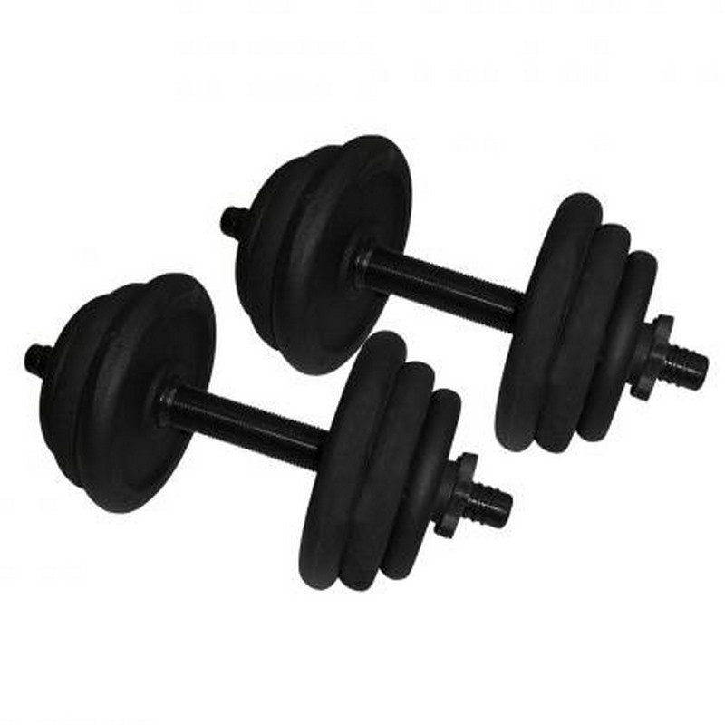 Гантели наборные литые Newt NE-300-GP013-2, 2 шт по 12,5 кг