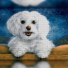 Алмазная вышивка на подрамнике "Радостная собака" The Wortex Diamonds TWD20017