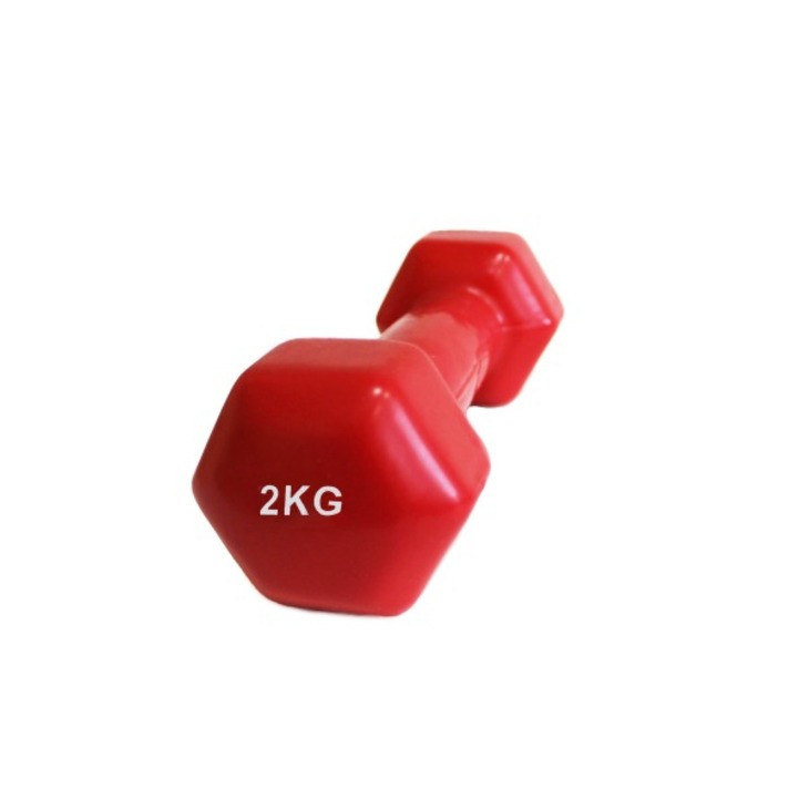 Аеробна вінілова гантель VDD-01 Fitnessport 10173FS, червоний 2 кг