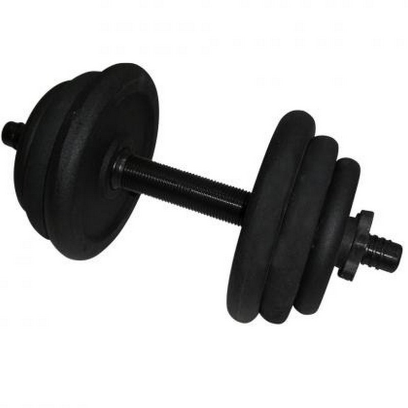 Гантель наборная литая Newt NE-300-GP013, 12,5 кг, черный