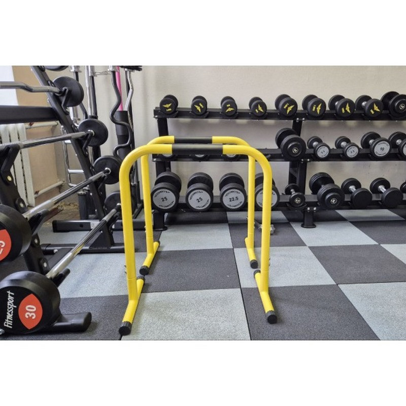 Бруси підлогові для віджимань FF71I1A Generation Fitness 522863FS