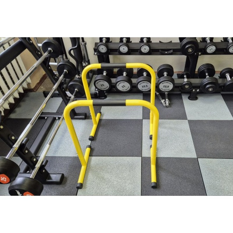 Бруси підлогові для віджимань FF71I1A Generation Fitness 522863FS