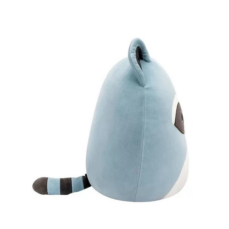 М'яка іграшка ЄНОТ РОККІ Squishmallows SQCR05407, 19 см