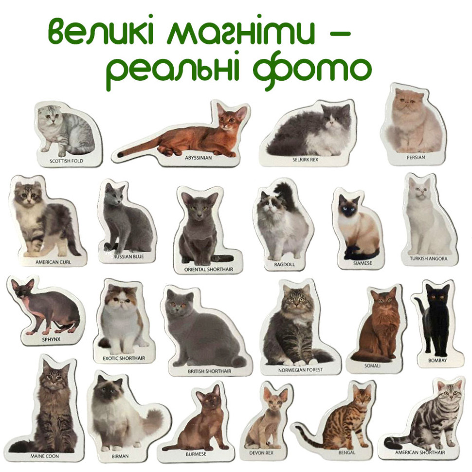 Набір магнітів 