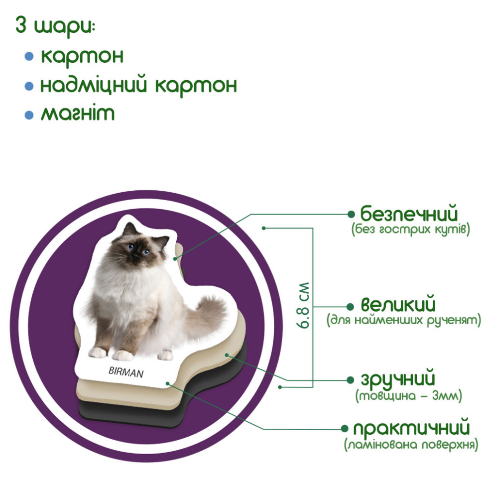 Набір магнітів 