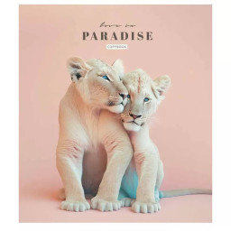 Тетрадь общая "Love in paradise" Школярик 036-3256L-5 в линию, 36 листов