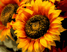 Картина по номерам "Шпион солнца" Art Craft 13106-AC 40х50 см