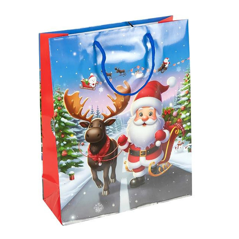 Пакет подарочный 