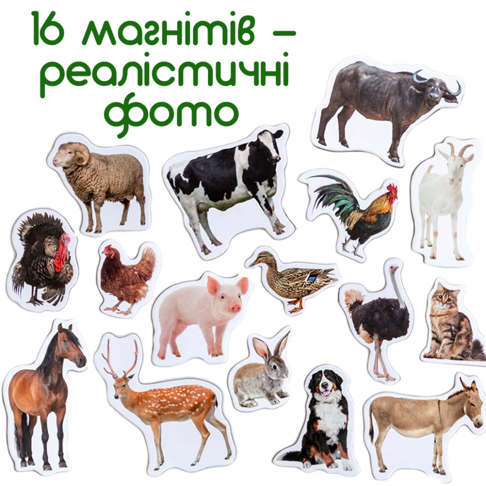 Набор магнитов