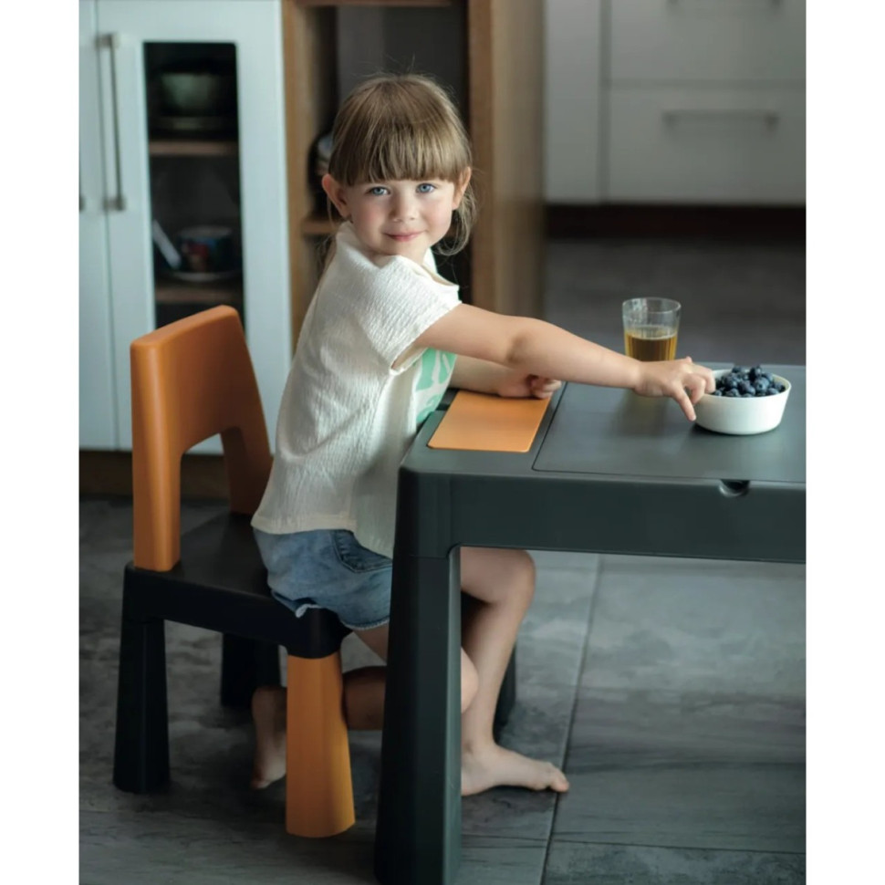 Дитячий столик із двома стільчиками Teggi Multifun Tega Baby TI-011-173
