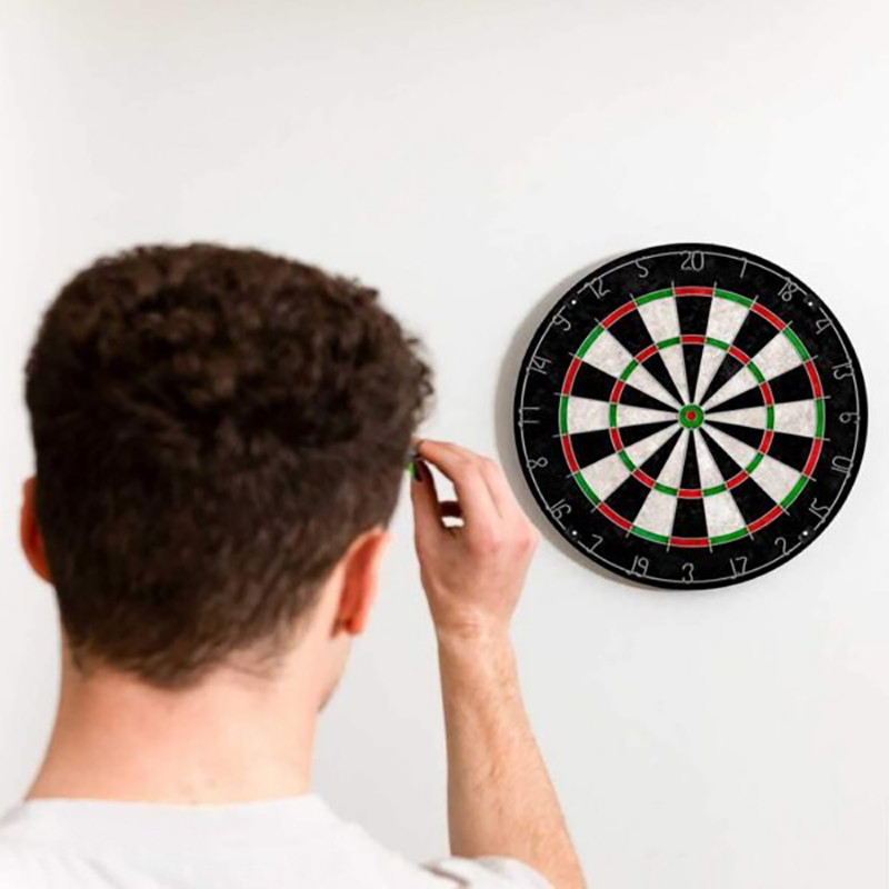 Дартс классический Profleisure Dartboard Newt NE-LG-DRT18, 45 см с проволочками