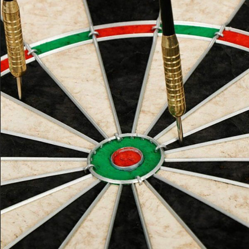 Дартс классический Profleisure Dartboard Newt NE-LG-DRT18, 45 см с проволочками