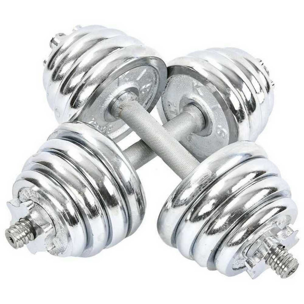Гантели разборные хромированные Gemini Sport GA-8209-25, 2 шт по 12,5 кг