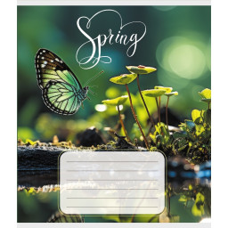 Тетрадь ученическая "Бабочка весной" Leader 018-530216K-4 в клеточку, 18 листов