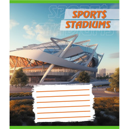 Тетрадь ученическая "Стадион" Leader 018-540260L-3 в линию, 18 листов (959054)