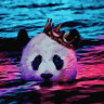 Картина за номерами. Rainbow Art "Велика панда" GX35780-RA 