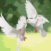 Картина по номерам Идейка"Белоснежные голуби" 40х40 см KHO4149