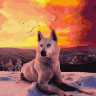 Картина за номерами. Rainbow Art "Північний вовк" GX35782-RA 